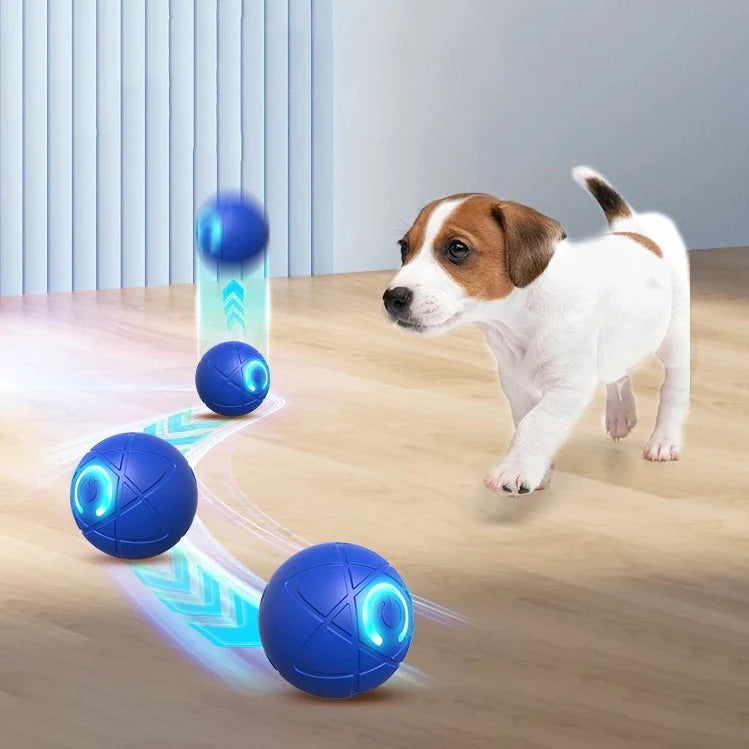 BounceBuddy™ | Eindeloos speelplezier voor jouw viervoeter!